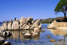 直播平台-比利时乒乓球队鏖战韩国队，王皓再现王者风采