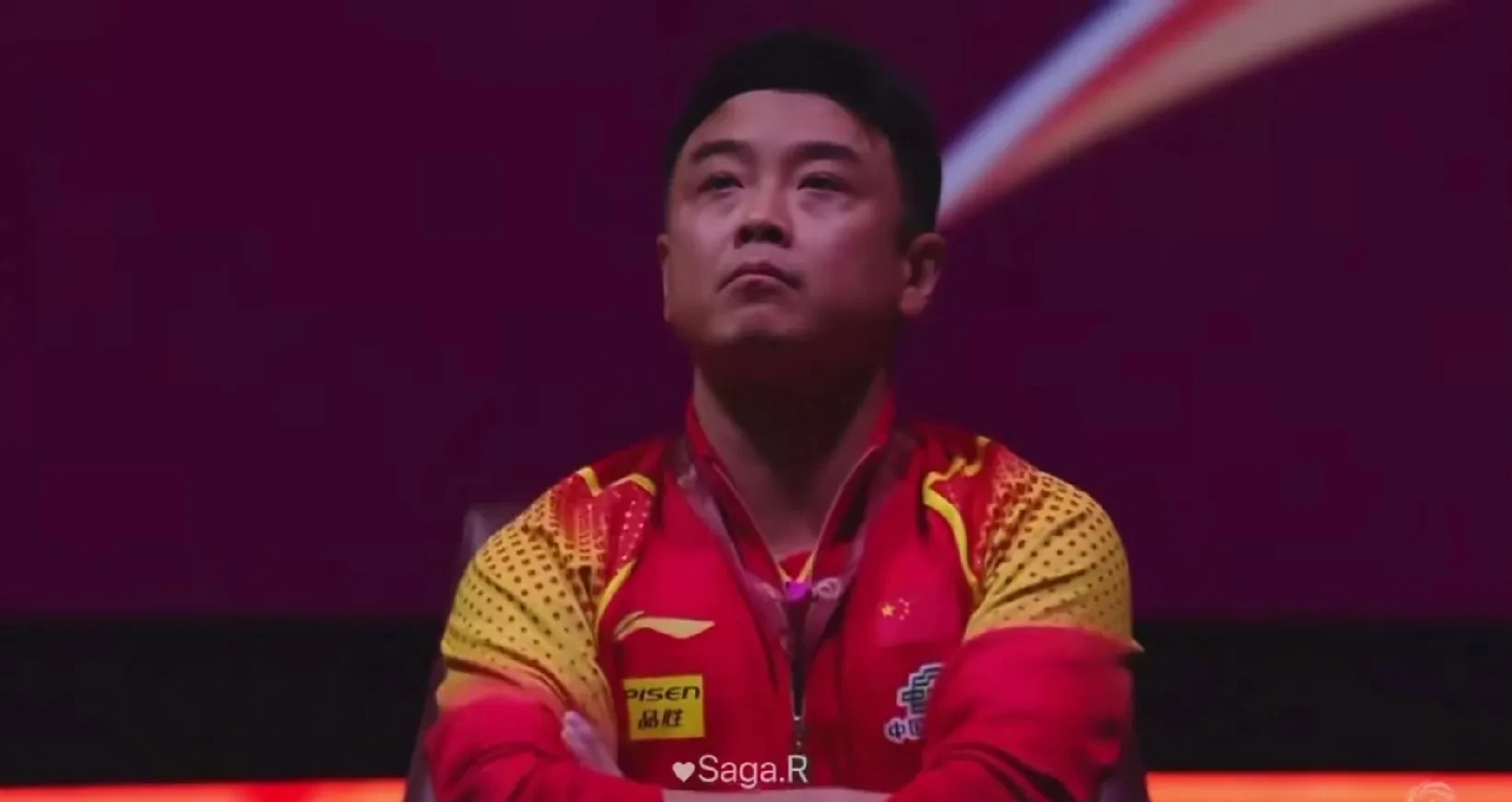 法国乒乓球队绝杀波兰乒乓球队，王皓惊艳世界的简单介绍